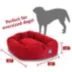 Majestic Pet Personalized Bagel Dog Bed image thumbnail 3