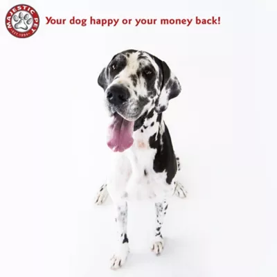 Product Majestic Pet Personalized Bagel Dog Bed
