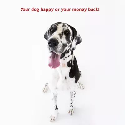 Majestic Pet Personalized Bagel Dog Bed - Image 7