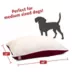 Majestic Pet Personalized Sherpa Pillow Dog Bed w/Removable Cover image thumbnail 3