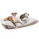 Product Majestic Pet Personalized Sherpa Pillow Dog Bed w/Removable Cover