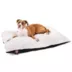 Majestic Pet Personalized Sherpa Pillow Dog Bed w/Removable Cover image thumbnail 2