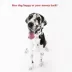 Majestic Pet Personalized Sherpa Pillow Dog Bed w/Removable Cover image thumbnail 7