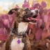 SiliDog The Silent Dog Tag Personalized Silicone Heart Dog & Cat ID Tag image thumbnail 5