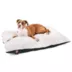 Majestic Pet Personalized Sherpa Pillow Dog Bed w/Removable Cover image thumbnail 2