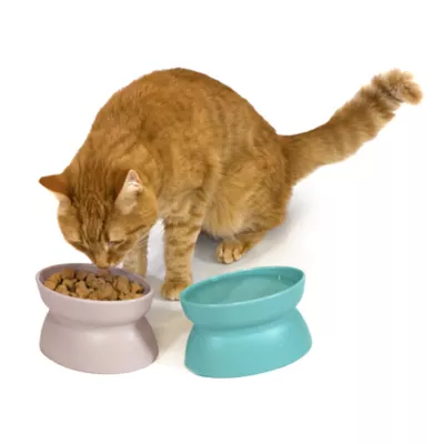 Sport Pet Elevated & Slanted Cat Bowl Set, 2 Count - Image 2