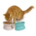 Sport Pet Elevated & Slanted Cat Bowl Set, 2 Count image thumbnail 2