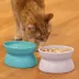 Sport Pet Elevated & Slanted Cat Bowl Set, 2 Count image thumbnail 3
