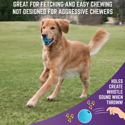 Product Sport Pet Chew King Toy Box, Toys for Dogs