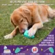 Product Sport Pet Chew King Toy Box, Toys for Dogs