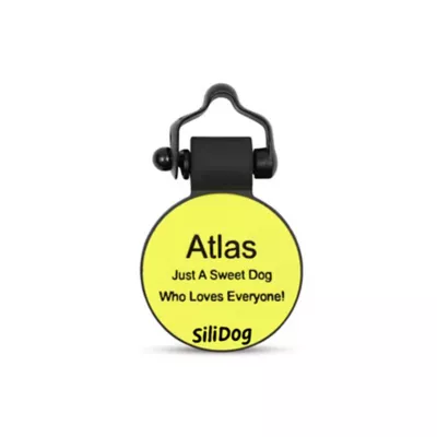Product SiliDog The Silent Dog Tag Personalized Silicone Bee Dog & Cat ID Tag
