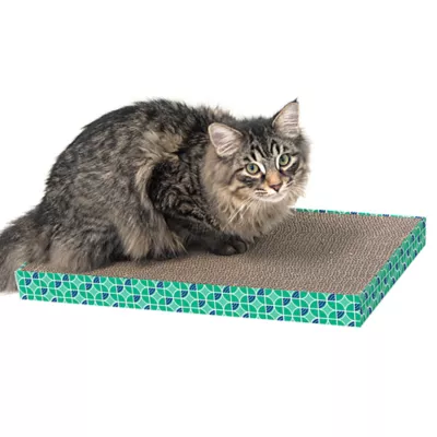 Cat scratchers at petsmart best sale