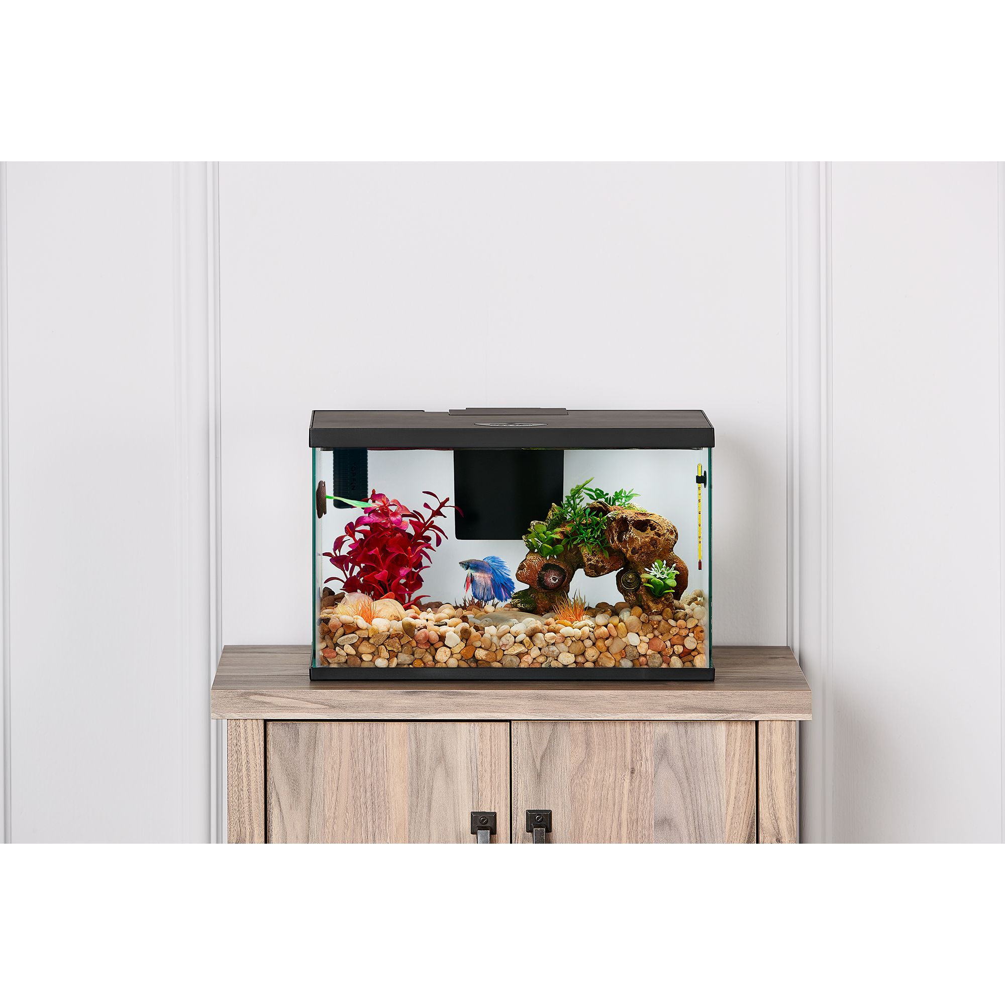 Fish Tanks, Bowls & Aquariums