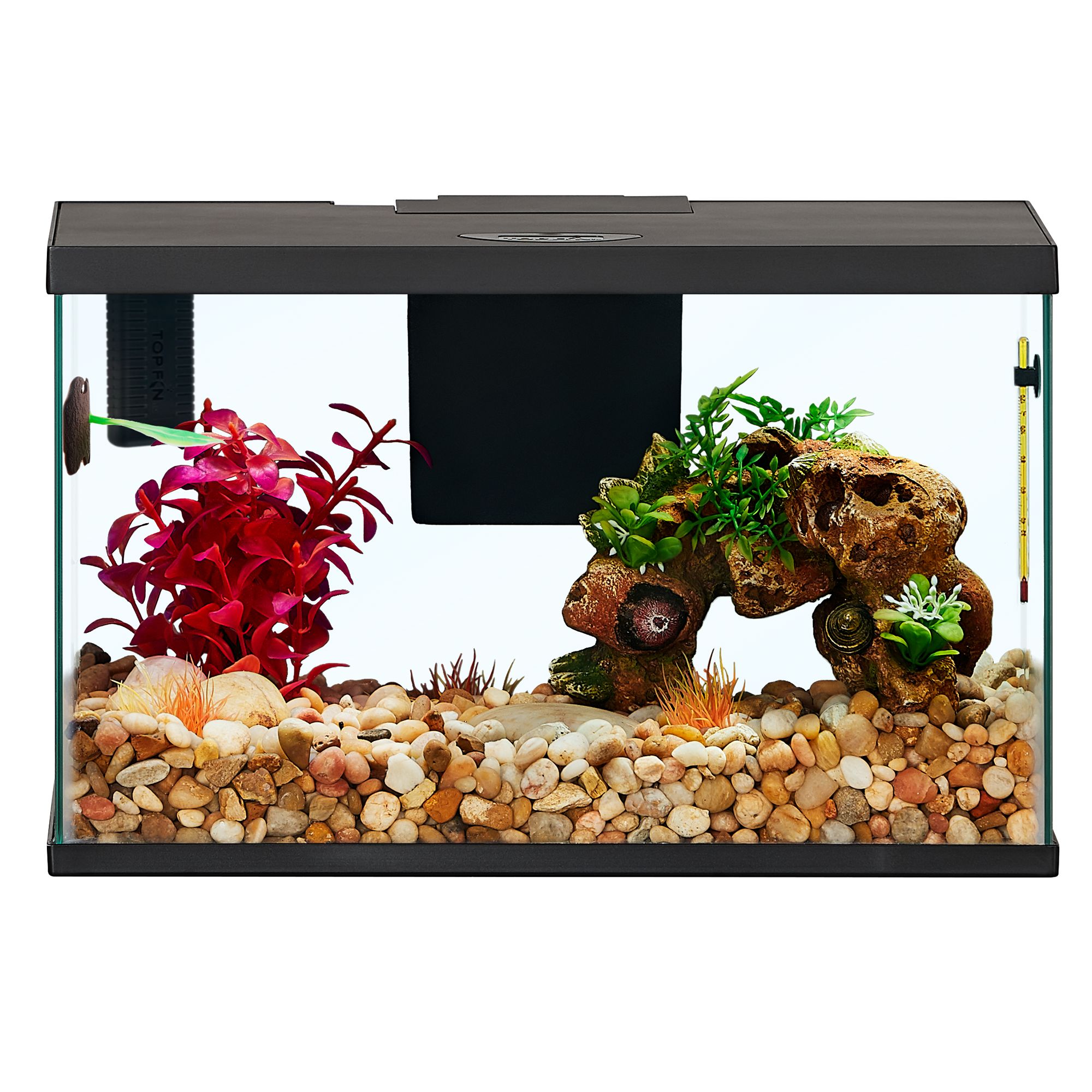 Top Fin All In One Betta Aquarium Starter Kit 3 Gallon