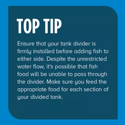 Top Fin® Tank Divider - Fish Tank Aquarium - 10-55 Gallon - Image 6