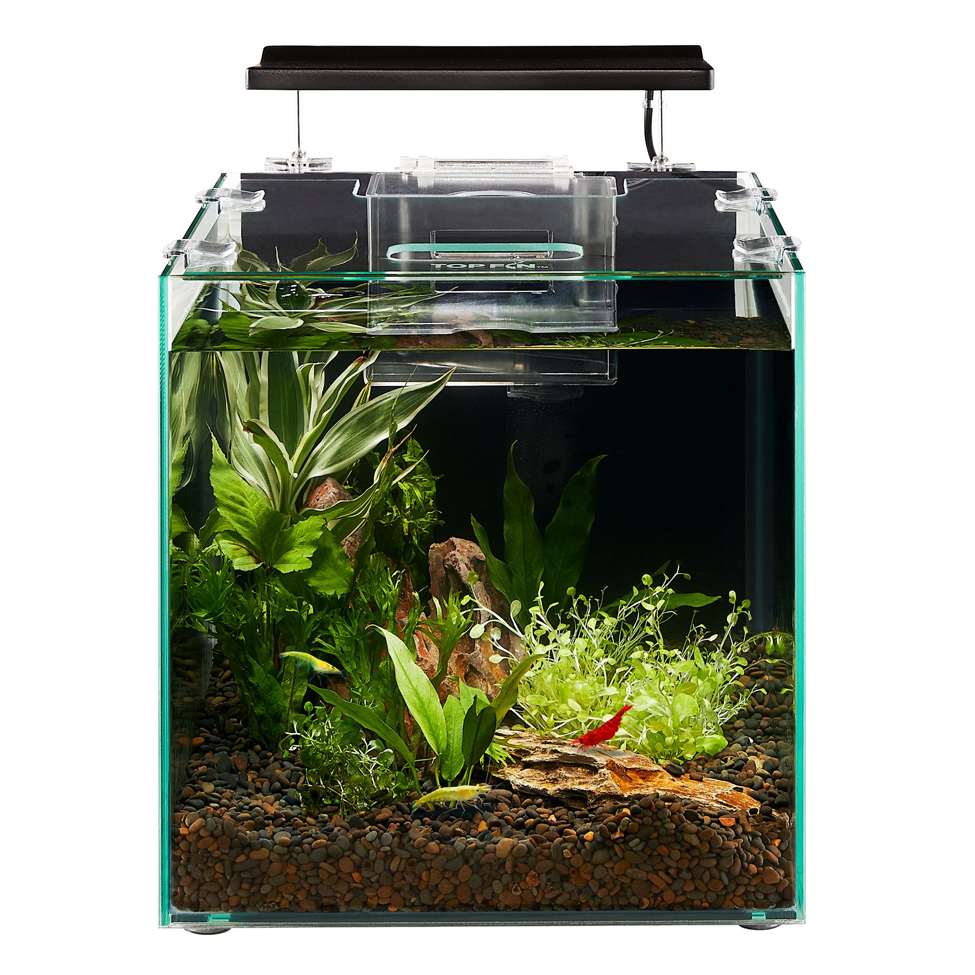 Aquariums & Fish Tanks for Pet Fish