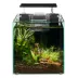 Top Fin® Shrimp & Plant Oasis Tank - 3 Gallon image thumbnail 1