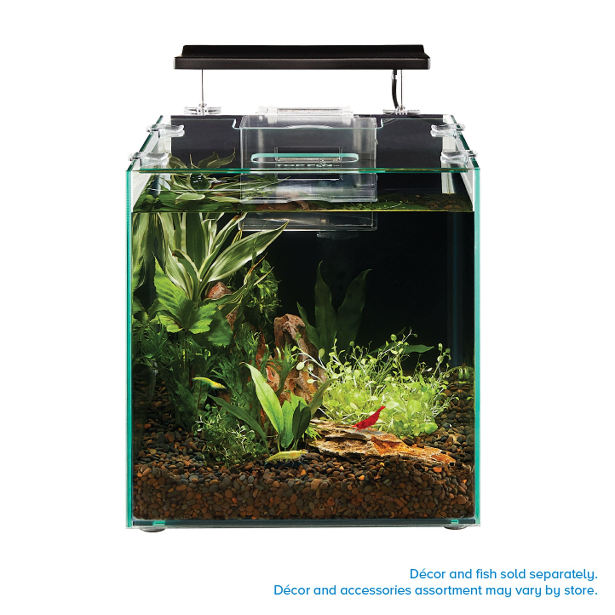 Top Fin Shrimp Plant Oasis Tank 3 Gallon Fish Aquariums PetSmart