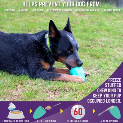 Product Sport Pet Chew King Toy Box, Toys for Dogs