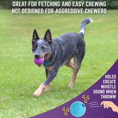 Product Sport Pet Chew King Toy Box, Toys for Dogs