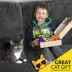 Kitty City Toy Box, Toys for Cats image thumbnail 5