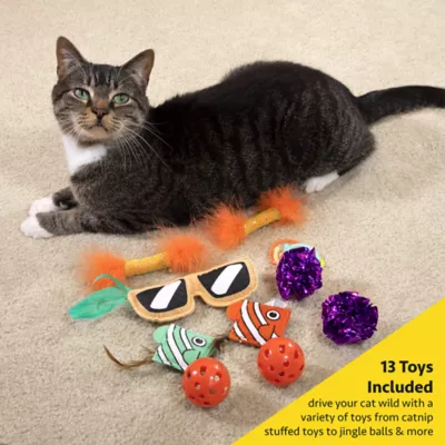 Product Kitty City Deluxe Toy Box, Toys for Cats