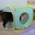 Kitty City Deluxe Toy Box, Toys for Cats image thumbnail 4