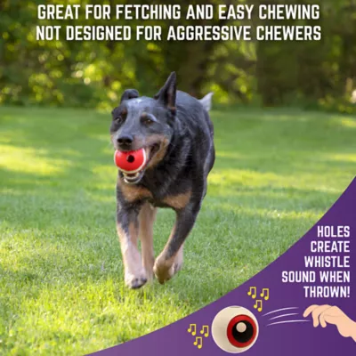Product Sport Pet Chew King 4-Pack Fetch Gift Box for Dogs