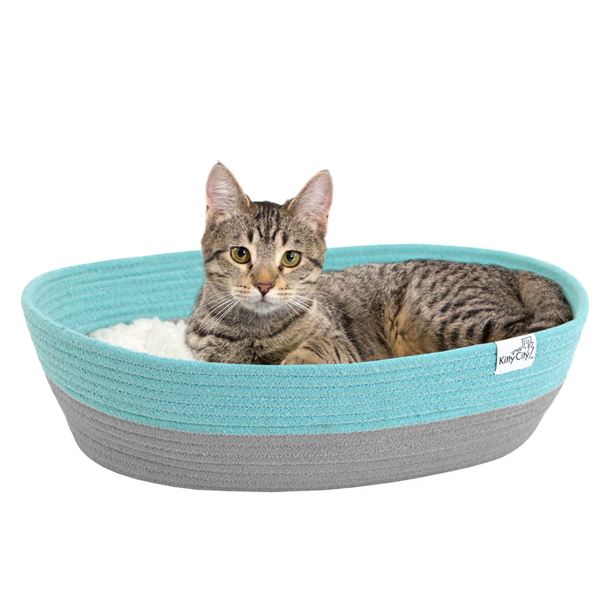 Petsmart cat beds best sale