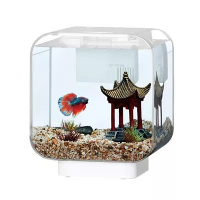 Top Fin Clear Vivid View Aquarium 3 Gallon