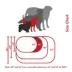 Majestic Pet Personalized Checkered Bagel Cat & Dog Bed image thumbnail 5