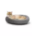 Whisker City® Bolster Cat Bed image thumbnail 1