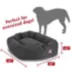 Majestic Pet Personalized Bagel Dog Bed image thumbnail 3