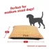 Majestic Pet Personalized Aruba Super Value Pillow Dog Bed image thumbnail 3