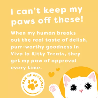 Viva La Kitty® Jerky Bites Cat Treat - Grain Free, High Protein - Image 5