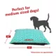 Product Majestic Pet Personalized Aruba Super Value Pillow Dog Bed