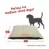 Majestic Pet Personalized Charlie Super Value Pillow Dog Bed image thumbnail 3