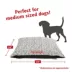 Majestic Pet Personalized Charlie Super Value Pillow Dog Bed image thumbnail 3
