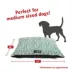 Majestic Pet Personalized Charlie Super Value Pillow Dog Bed image thumbnail 3