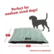Product Majestic Pet Personalized Charlie Super Value Pillow Dog Bed