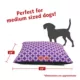 Product Majestic Pet Personalized Links Super Value Pillow Dog Bed