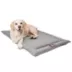 Majestic Pet Personalized Villa Dog Crate Mat image thumbnail 2