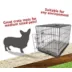 Majestic Pet Personalized Villa Dog Crate Mat image thumbnail 5