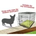 Majestic Pet Personalized Villa Dog Crate Mat image thumbnail 5