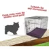 Majestic Pet Personalized Villa Dog Crate Mat image thumbnail 5