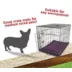 Majestic Pet Personalized Villa Dog Crate Mat image thumbnail 5