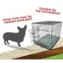 Majestic Pet Personalized Villa Dog Crate Mat image thumbnail 5