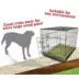 Majestic Pet Personalized Villa Dog Crate Mat image thumbnail 5