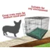 Majestic Pet Personalized Villa Dog Crate Mat image thumbnail 5