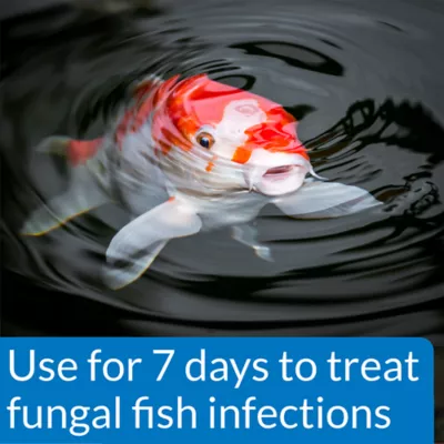 Product PI® Pond Pimafix Fungal Infection Treatment